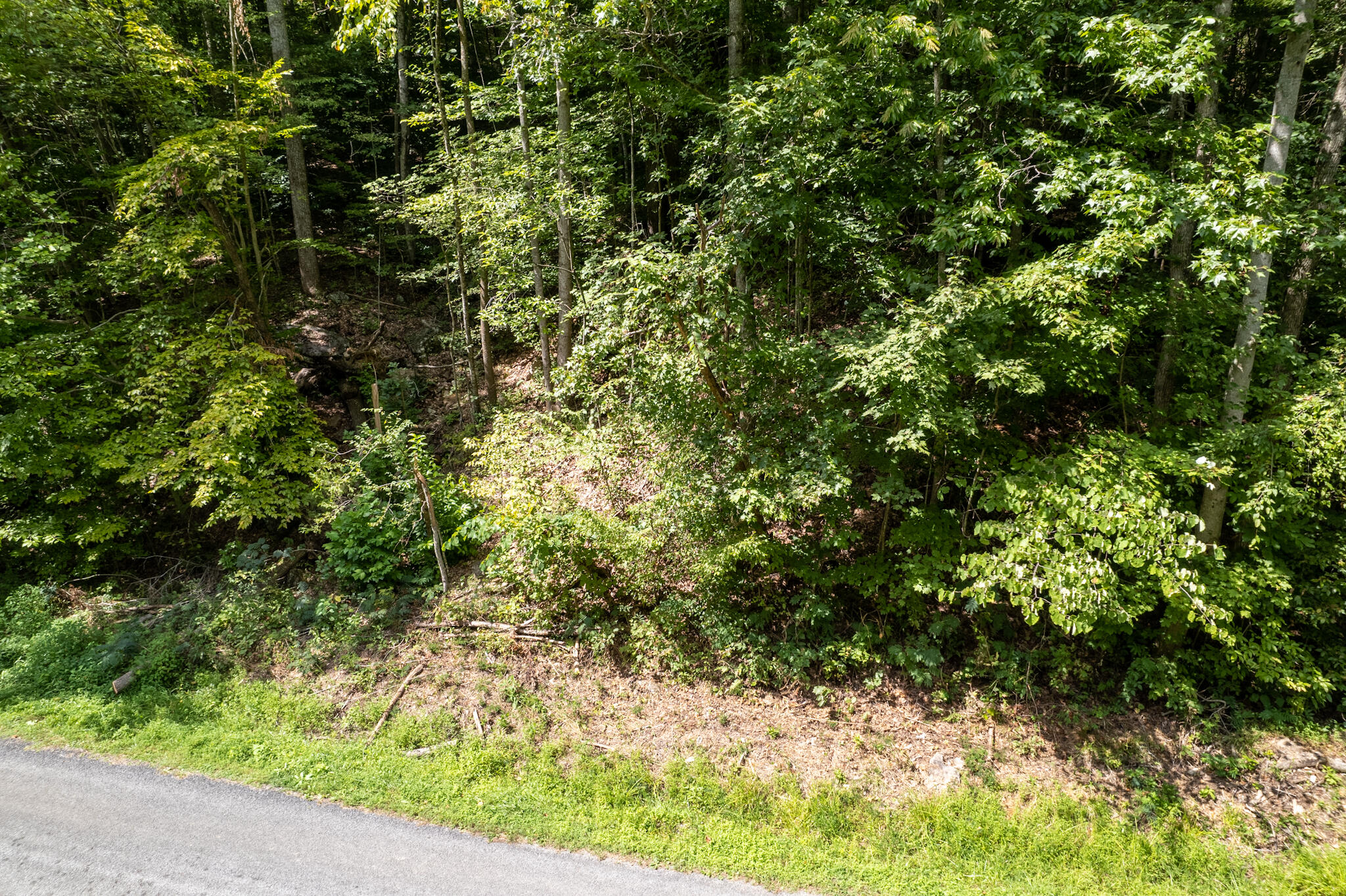 491 Sandy Valley Road Rogersville, TN 37857 - Photo 12 of 17 DJI_0296