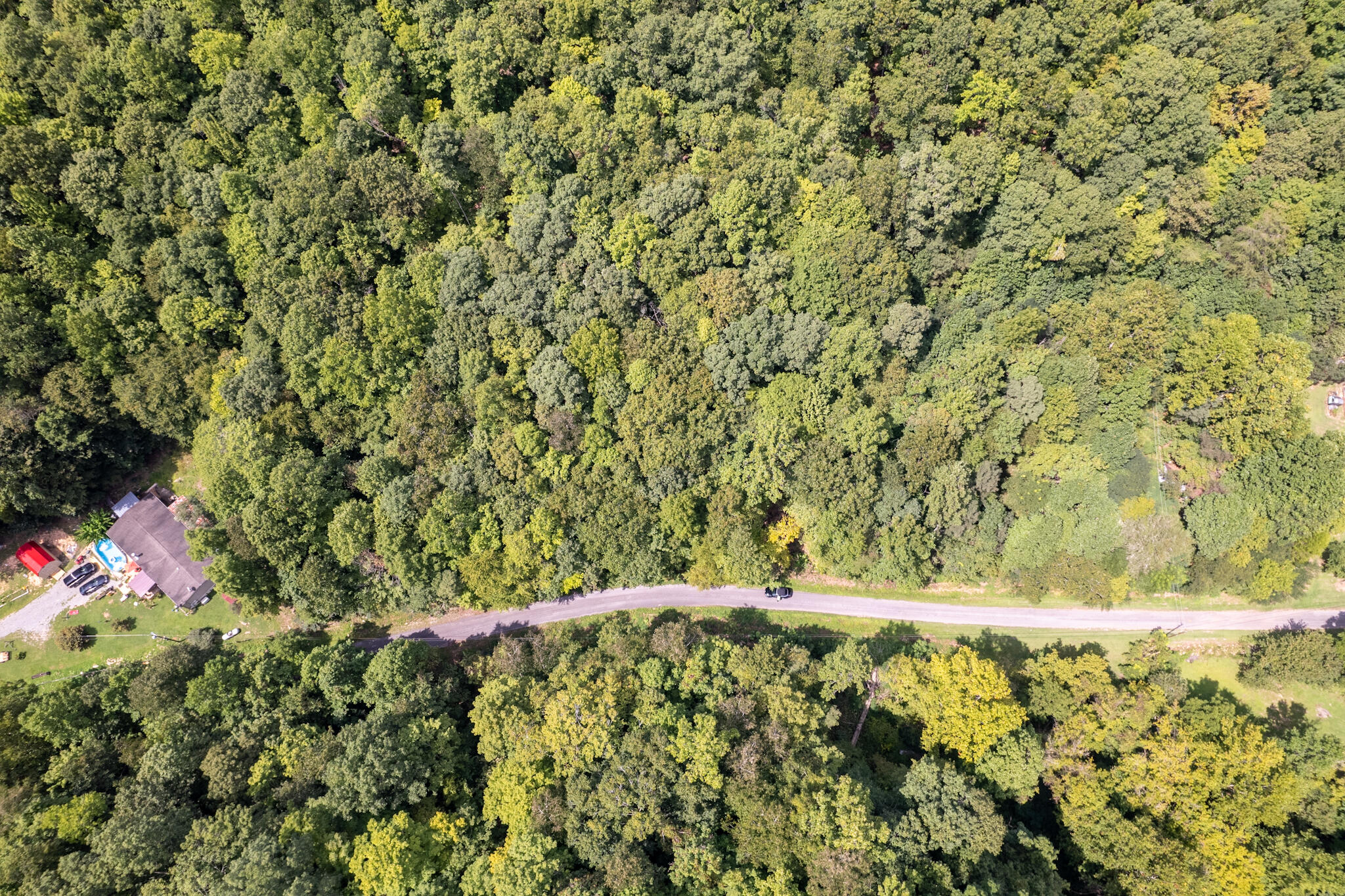 491 Sandy Valley Road Rogersville, TN 37857 - Photo 13 of 17 DJI_0291
