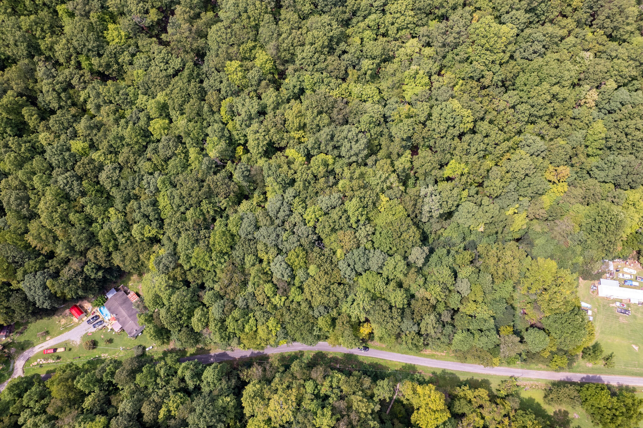 491 Sandy Valley Road Rogersville, TN 37857 - Photo 15 of 17 DJI_0287