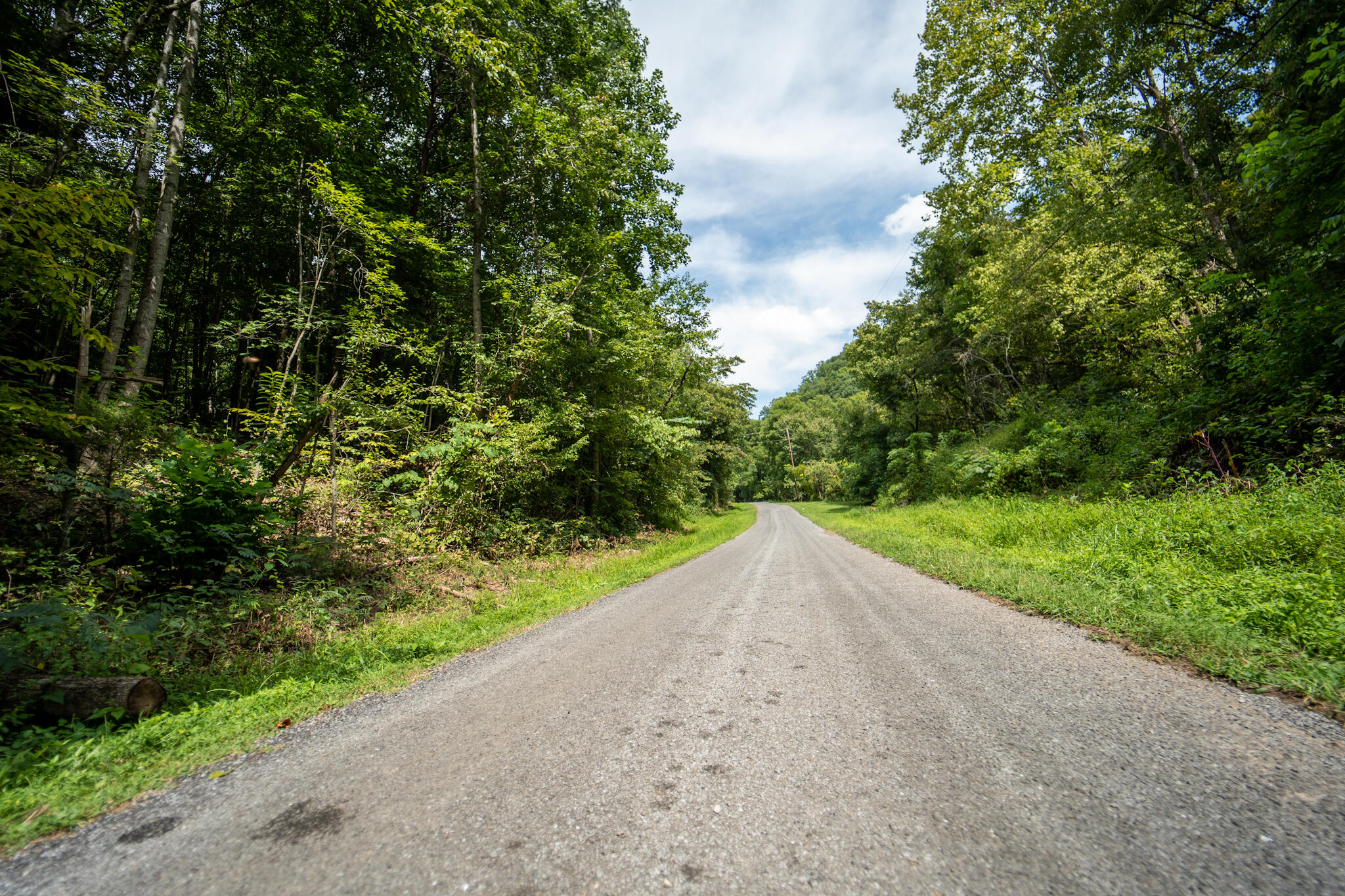 491 Sandy Valley Road Rogersville, TN 37857 - Photo 2 of 17 DSC01453