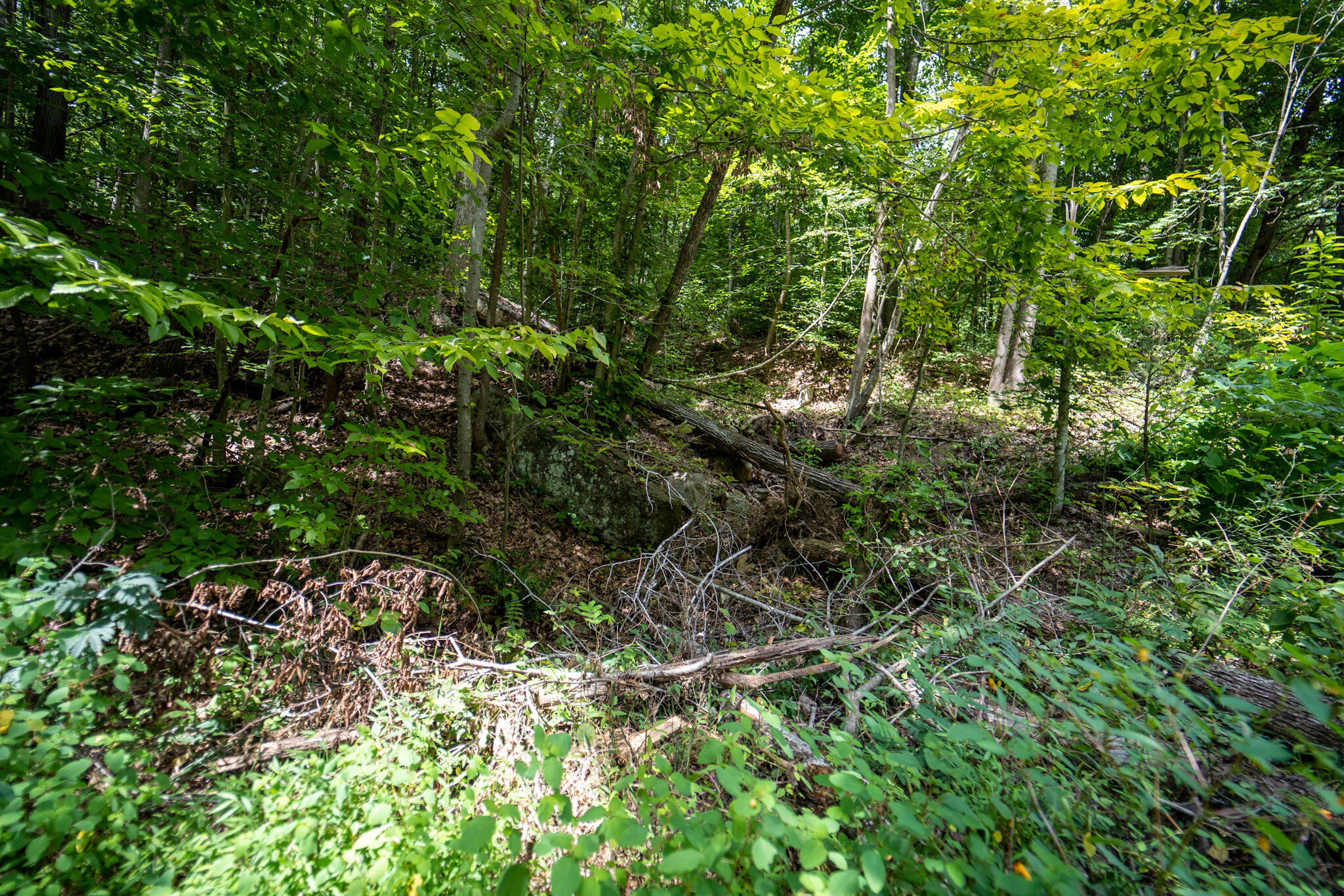 491 Sandy Valley Road Rogersville, TN 37857 - Photo 5 of 17 DSC01456