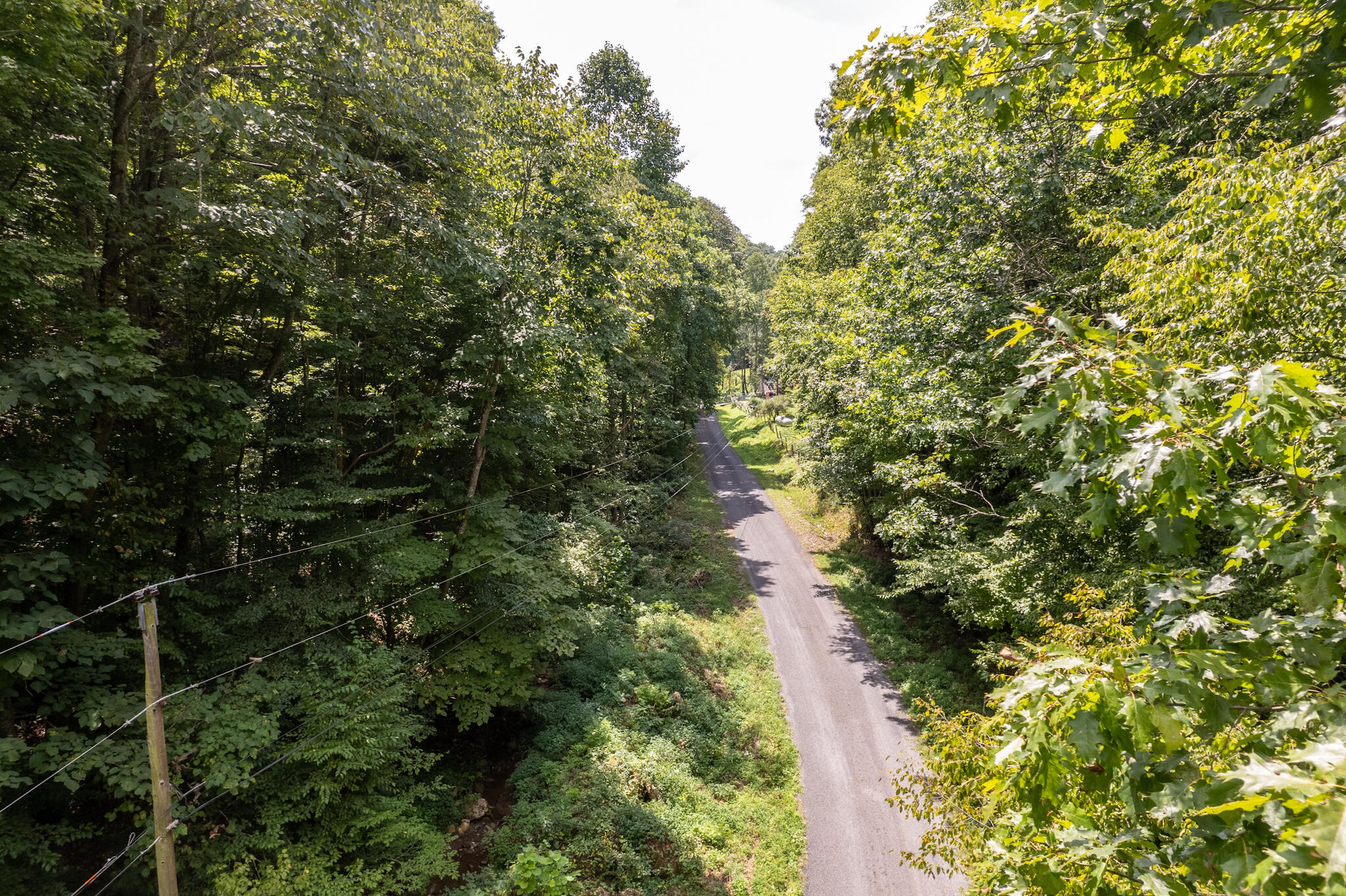 491 Sandy Valley Road Rogersville, TN 37857 - Photo 8 of 17 DJI_0292