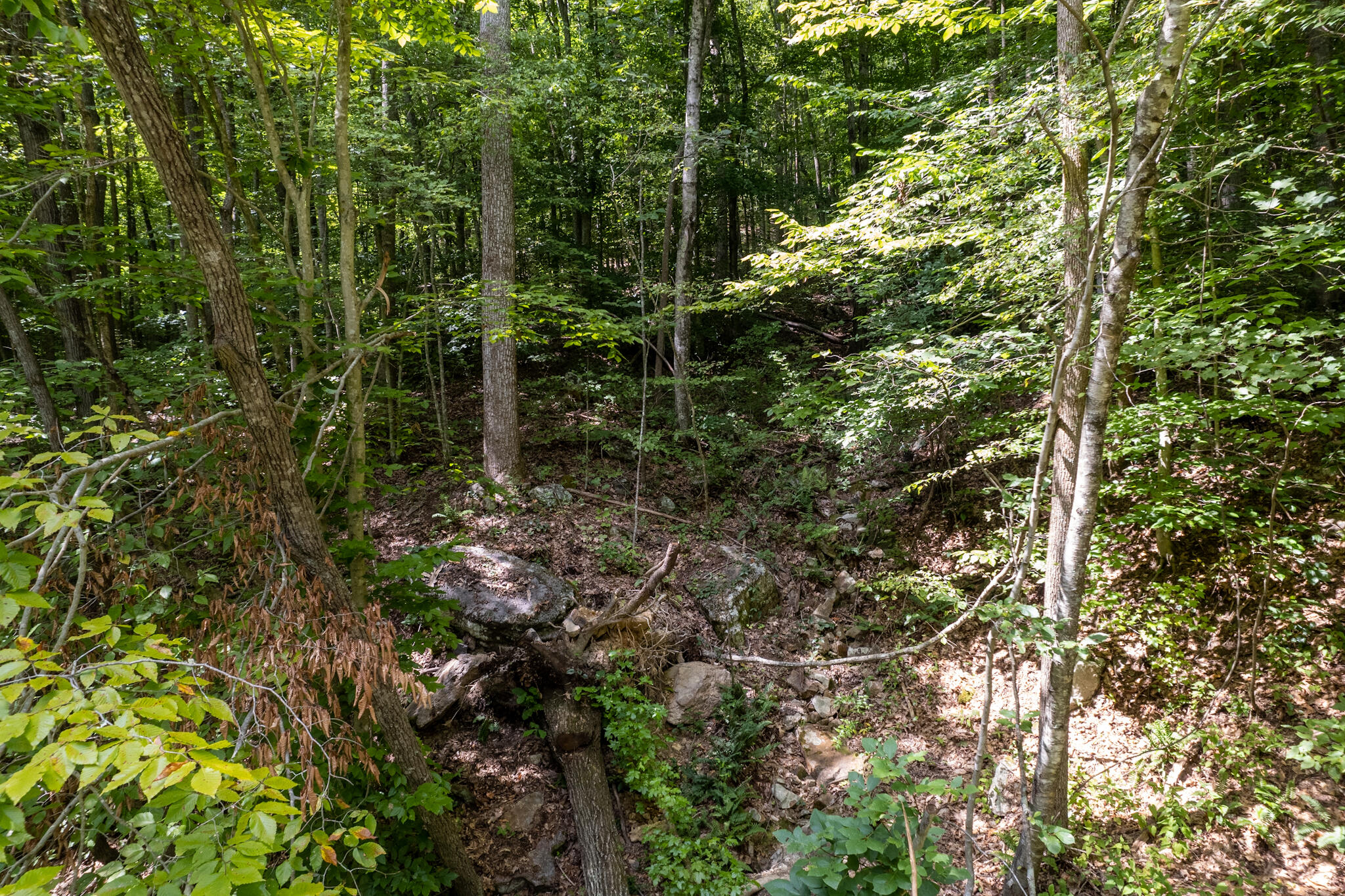 491 Sandy Valley Road Rogersville, TN 37857 - Photo 10 of 17 DJI_0294