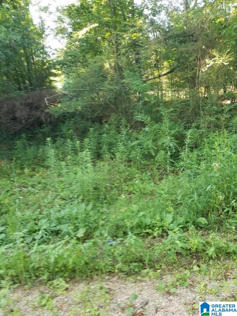 270 Oxford Road Lincoln, AL 35096 - Photo 6 of 21