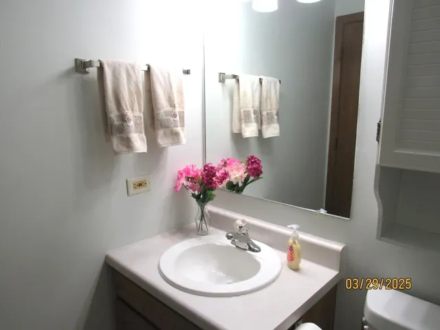 a bathroom with a sink and a mirror
