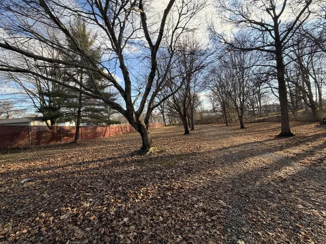 a view of empty space with trees