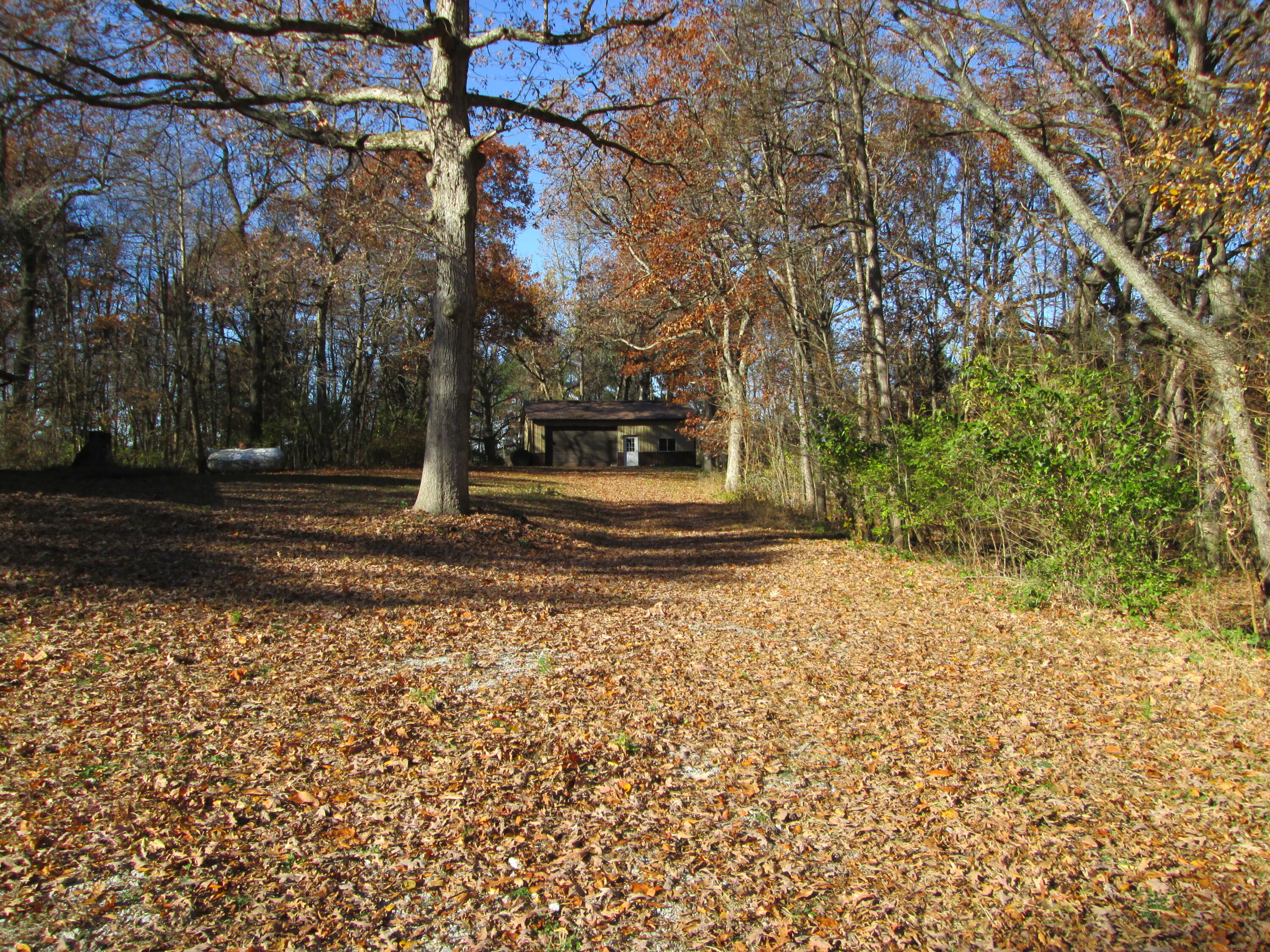 23900 Cline Avenue Lowell, IN 46356 - Photo 4 of 12 a backyard of a house with lots of green space