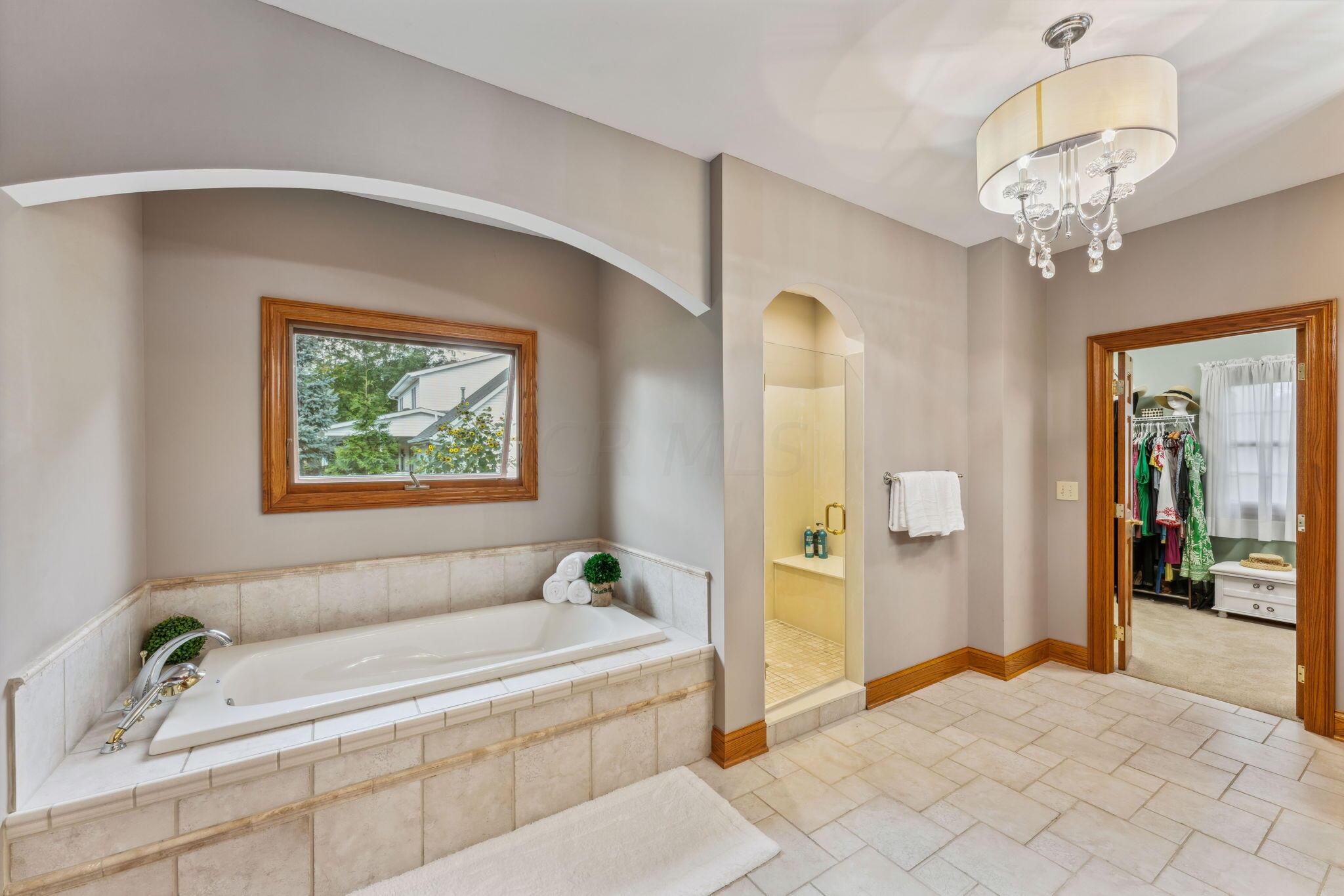 8242 Dustin Road Galena, OH 43021 - Photo 38 of 111 Soak in the tub or step into the deluxe shower