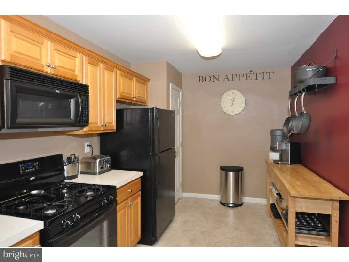 238 Flagstone Road Chester Springs, PA 19425 - Photo 11 of 23 Kitchen