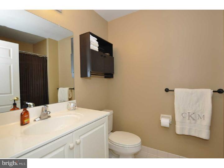 238 Flagstone Road Chester Springs, PA 19425 - Photo 13 of 23 Bathroom