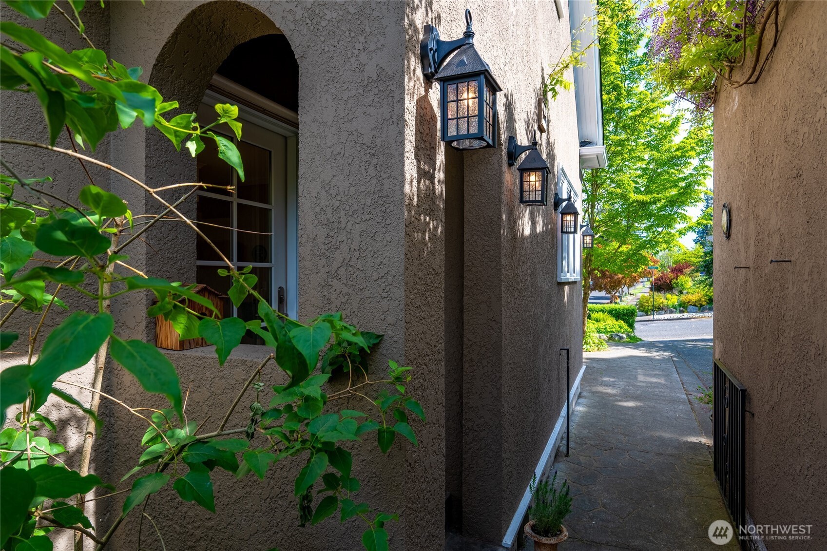 258 North Forest Street Bellingham, WA 98225 - Photo 35 of 40 a picture of plants