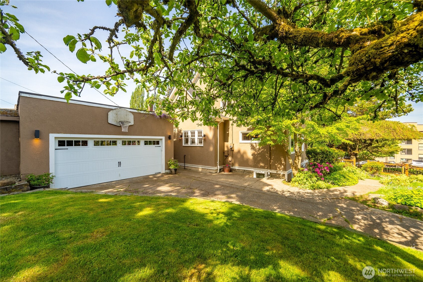 258 North Forest Street Bellingham, WA 98225 - Photo 4 of 40 a view of a yard with a tree