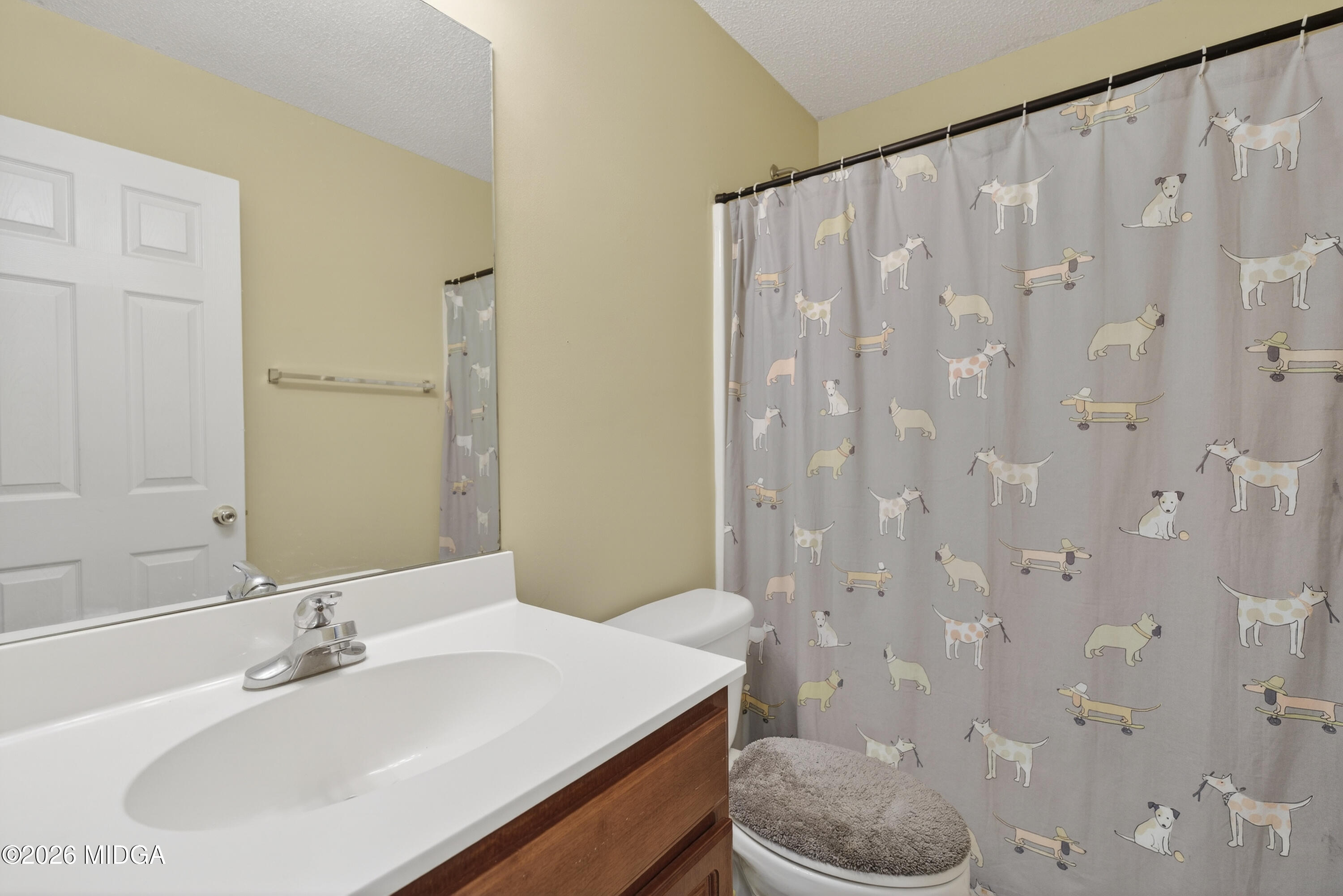 226 Amy Lane Gray, GA 31032 - Photo 25 of 46 a bathroom with a sink a toilet and shower curtain