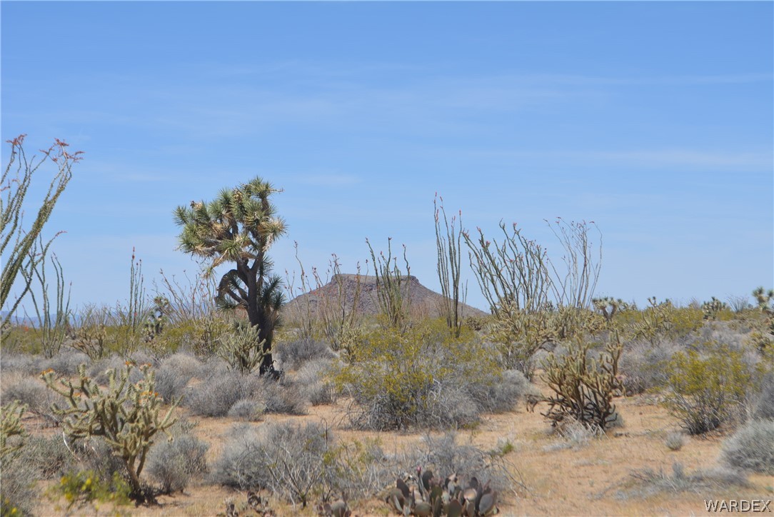 3555 Cicio Road Yucca, AZ 86438 - Photo 54 of 70