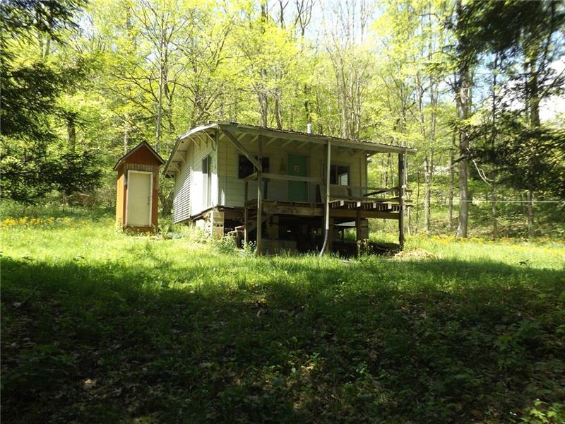 295 Dark Hollow Road Confluence, PA 15424 - Photo 1 of 24 Gallery Image 1
