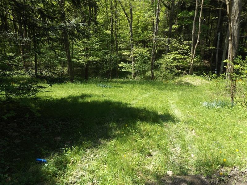 295 Dark Hollow Road Confluence, PA 15424 - Photo 2 of 24 Gallery Image 2