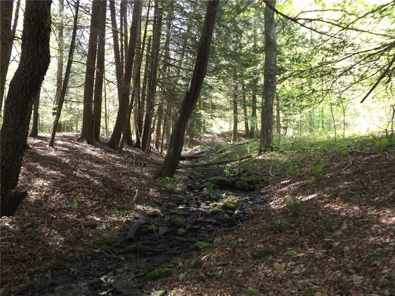 295 Dark Hollow Road Confluence, PA 15424 - Photo 11 of 24 Gallery Image 11