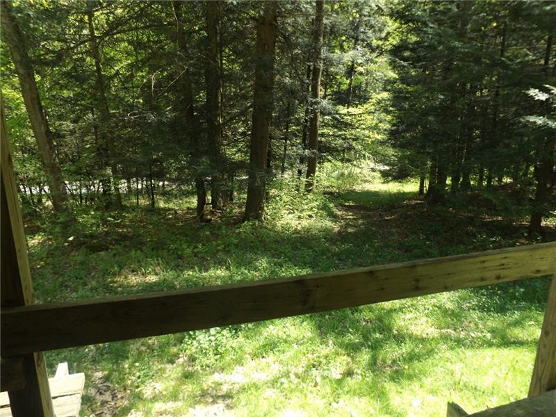 295 Dark Hollow Road Confluence, PA 15424 - Photo 13 of 24 Gallery Image 13