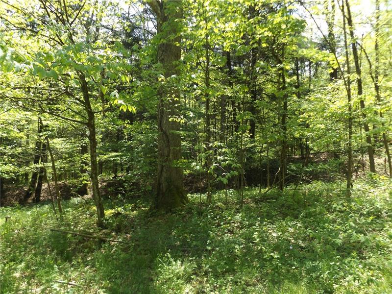 295 Dark Hollow Road Confluence, PA 15424 - Photo 17 of 24 Gallery Image 17