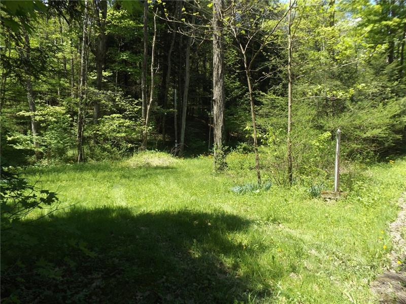 295 Dark Hollow Road Confluence, PA 15424 - Photo 19 of 24 Gallery Image 19