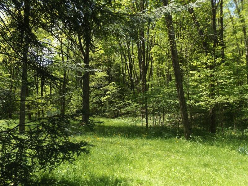 295 Dark Hollow Road Confluence, PA 15424 - Photo 3 of 24 Gallery Image 3