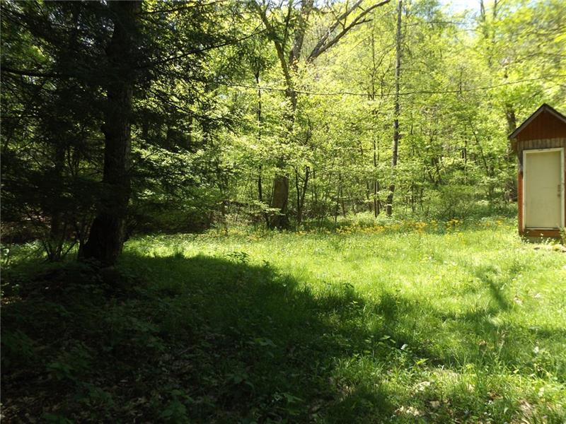295 Dark Hollow Road Confluence, PA 15424 - Photo 22 of 24 Gallery Image 22