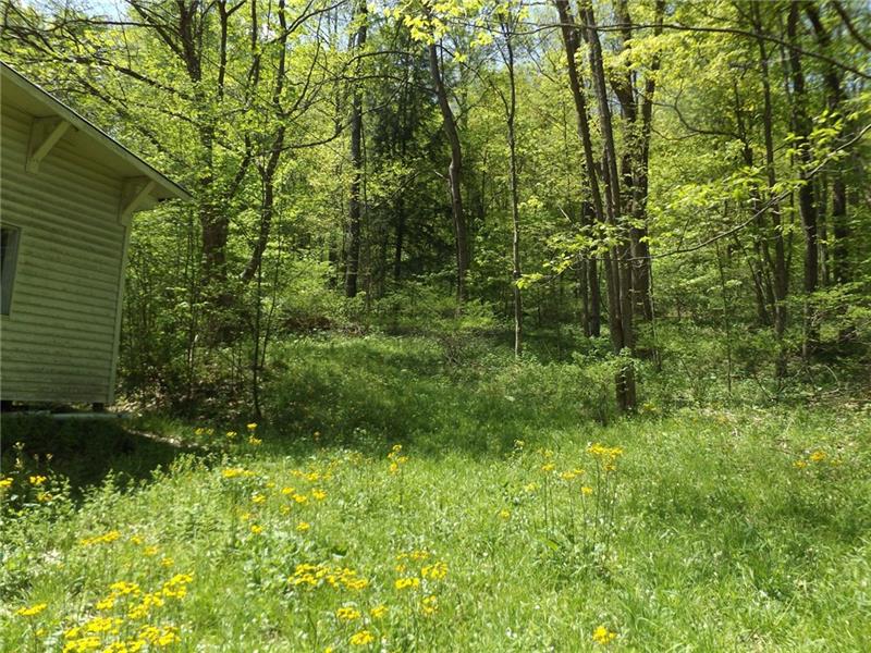 295 Dark Hollow Road Confluence, PA 15424 - Photo 23 of 24 Gallery Image 23