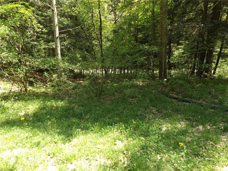 295 Dark Hollow Road Confluence, PA 15424 - Photo 24 of 24 Gallery Image 24