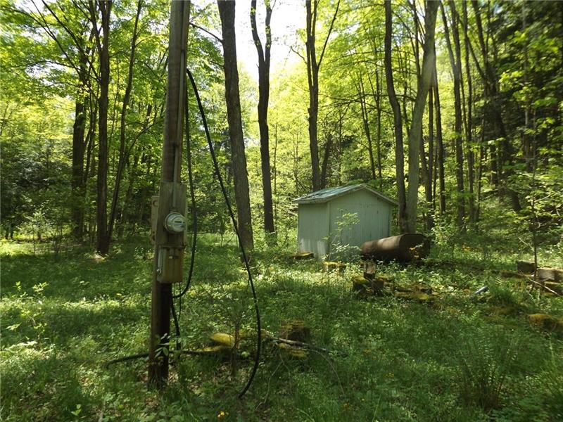 295 Dark Hollow Road Confluence, PA 15424 - Photo 4 of 24 Gallery Image 4