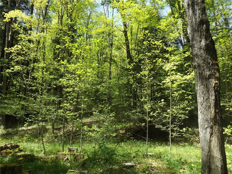 295 Dark Hollow Road Confluence, PA 15424 - Photo 5 of 24 Gallery Image 5