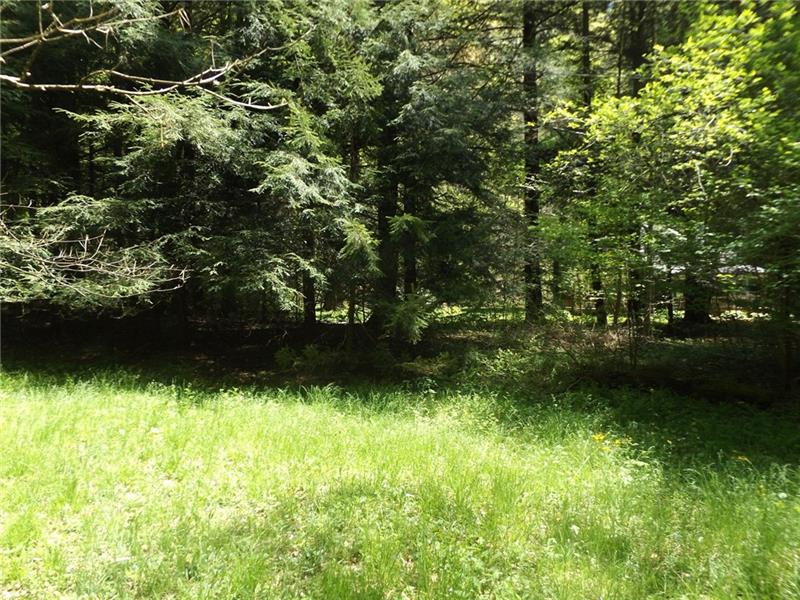 295 Dark Hollow Road Confluence, PA 15424 - Photo 6 of 24 Gallery Image 6