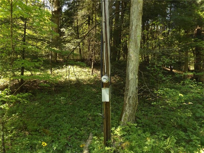 295 Dark Hollow Road Confluence, PA 15424 - Photo 9 of 24 Gallery Image 9