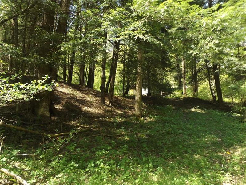 295 Dark Hollow Road Confluence, PA 15424 - Photo 10 of 24 Gallery Image 10