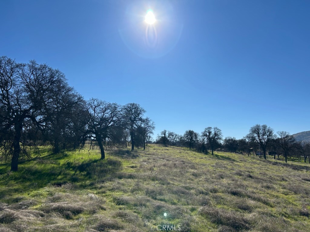 5-acres - El Toro Road Catheys Valley, CA 95306 - Photo 3 of 6