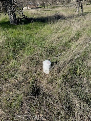 5-acres - El Toro Road Catheys Valley, CA 95306 - Photo 6 of 6