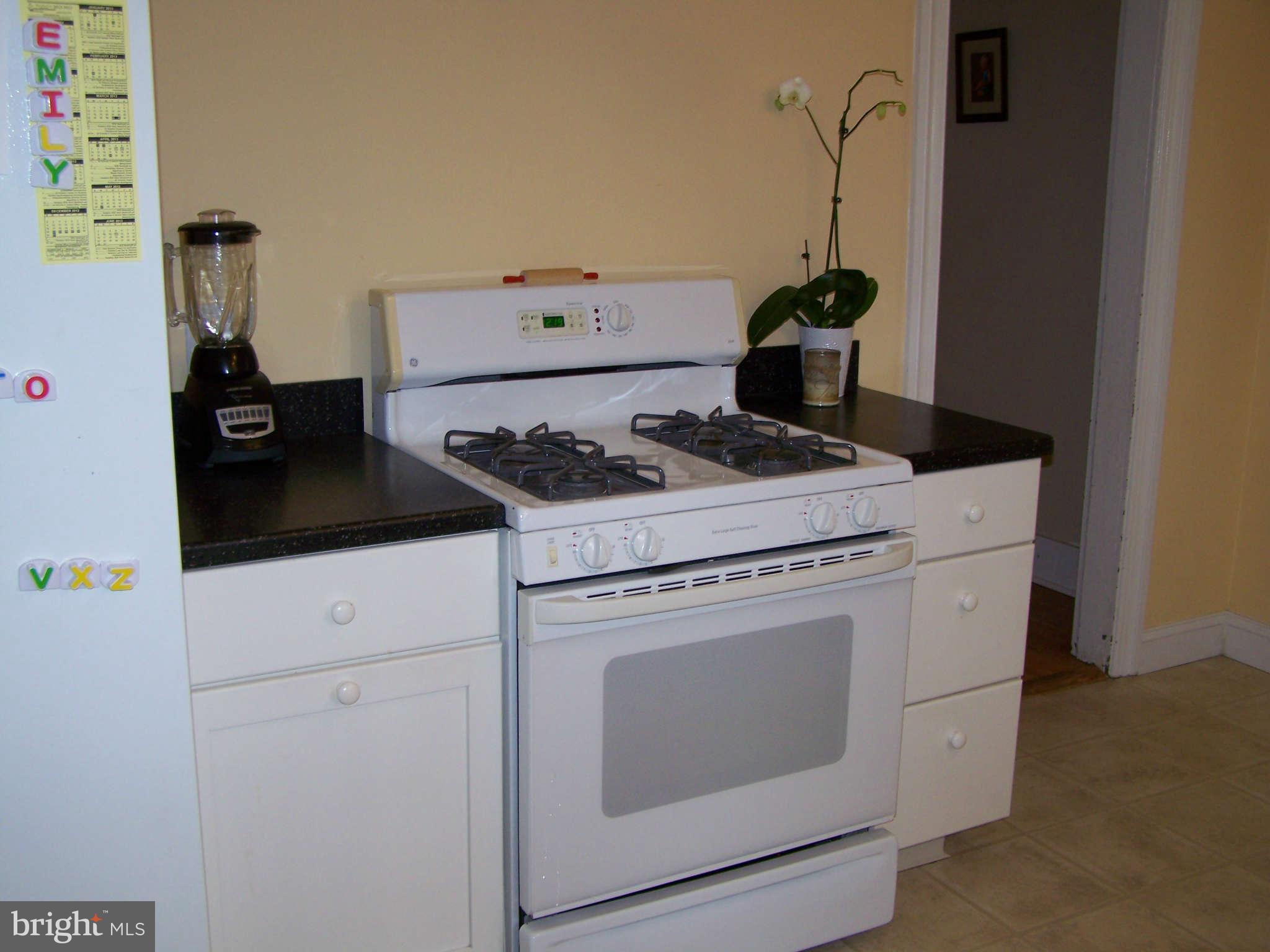 119 2nd Street Crumpton, MD 21628 - Photo 12 of 22 Kitchen