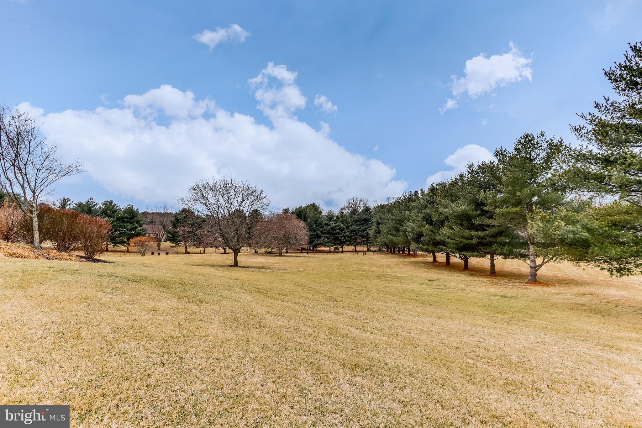 12375 Frederick Road West Friendship, MD 21794 - Photo 30 of 30 Yard