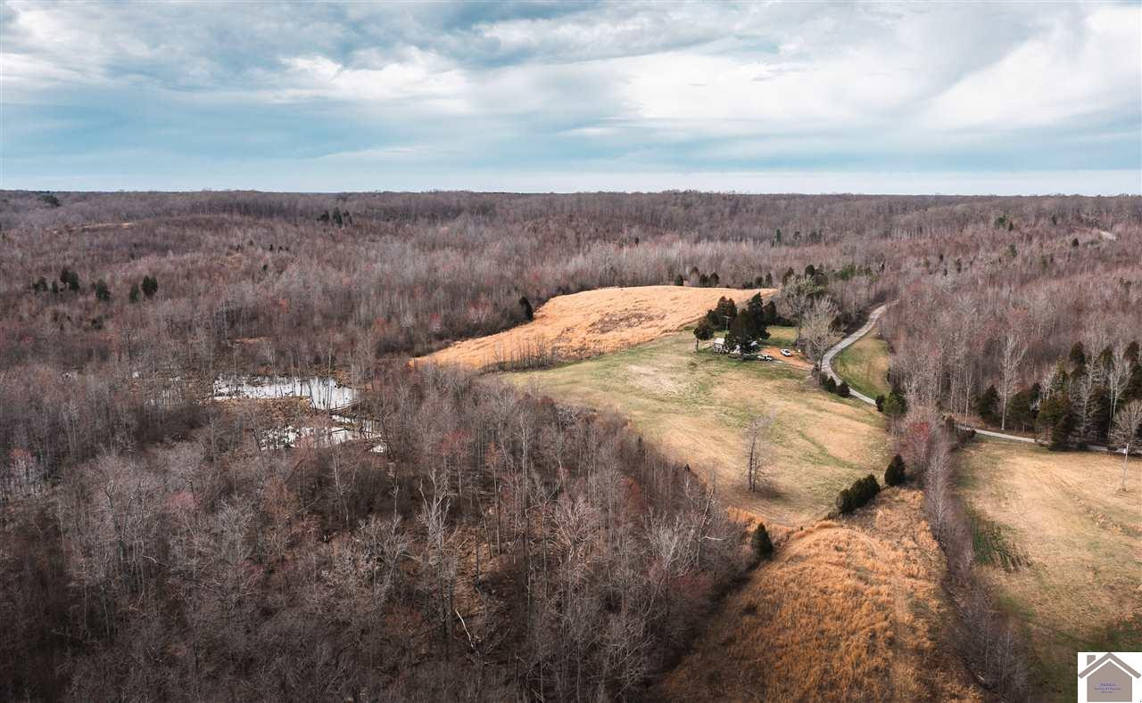 0 Billy Branch Road, Unit LOT D New Concord, KY 42076 - Photo 1 of 1 Photo 1
