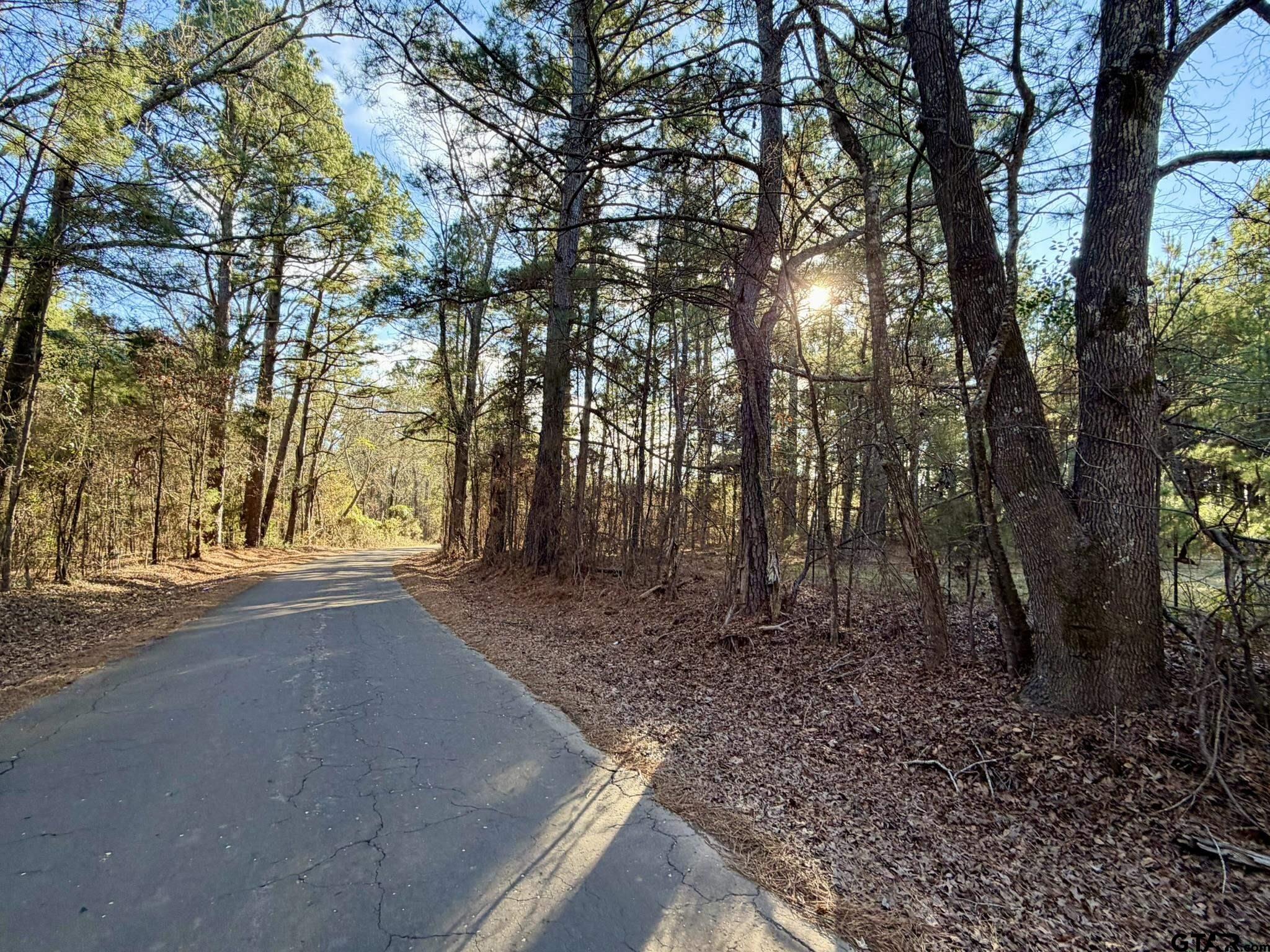 0 Brad Spann Road Waskom, TX 75692 - Photo 1 of 5 a view of a forest filled with trees
