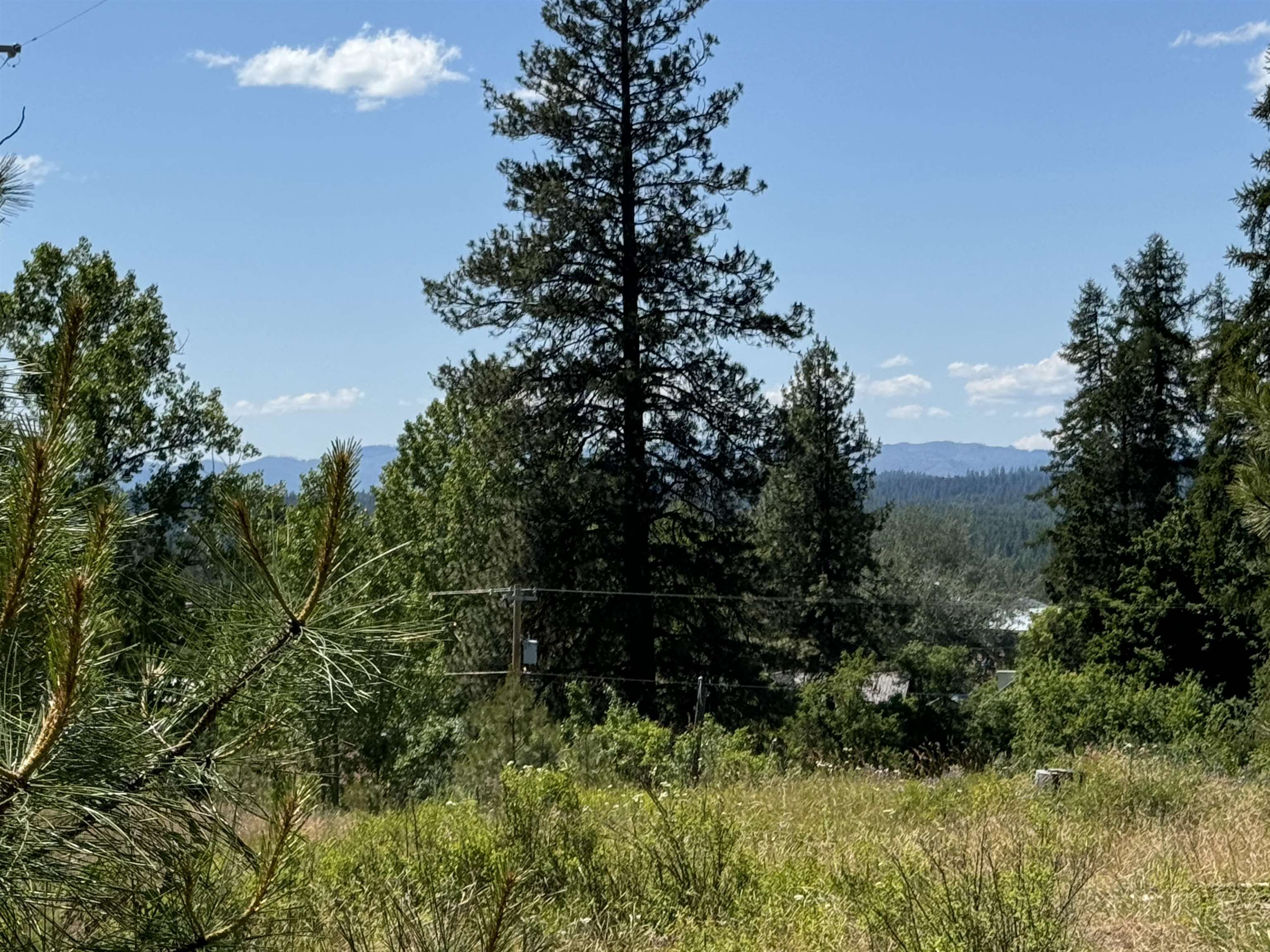 530 North A Street, Unit LOT #4 Springdale, WA 99173 - Photo 4 of 12