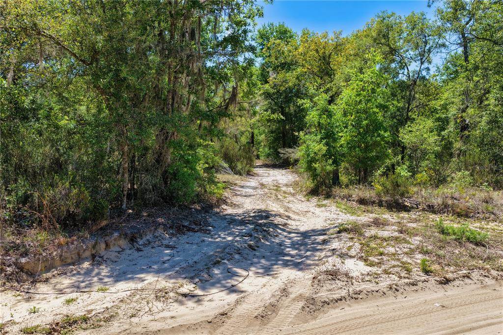 2 Northeast 125th Street Bronson, FL 32621 - Photo 10 of 19