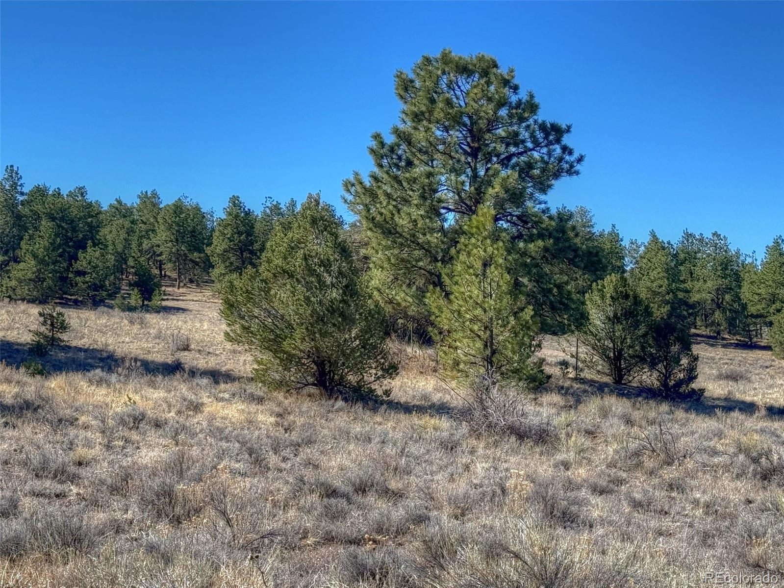 885 Crow Road Westcliffe, CO 81252 - Photo 23 of 24