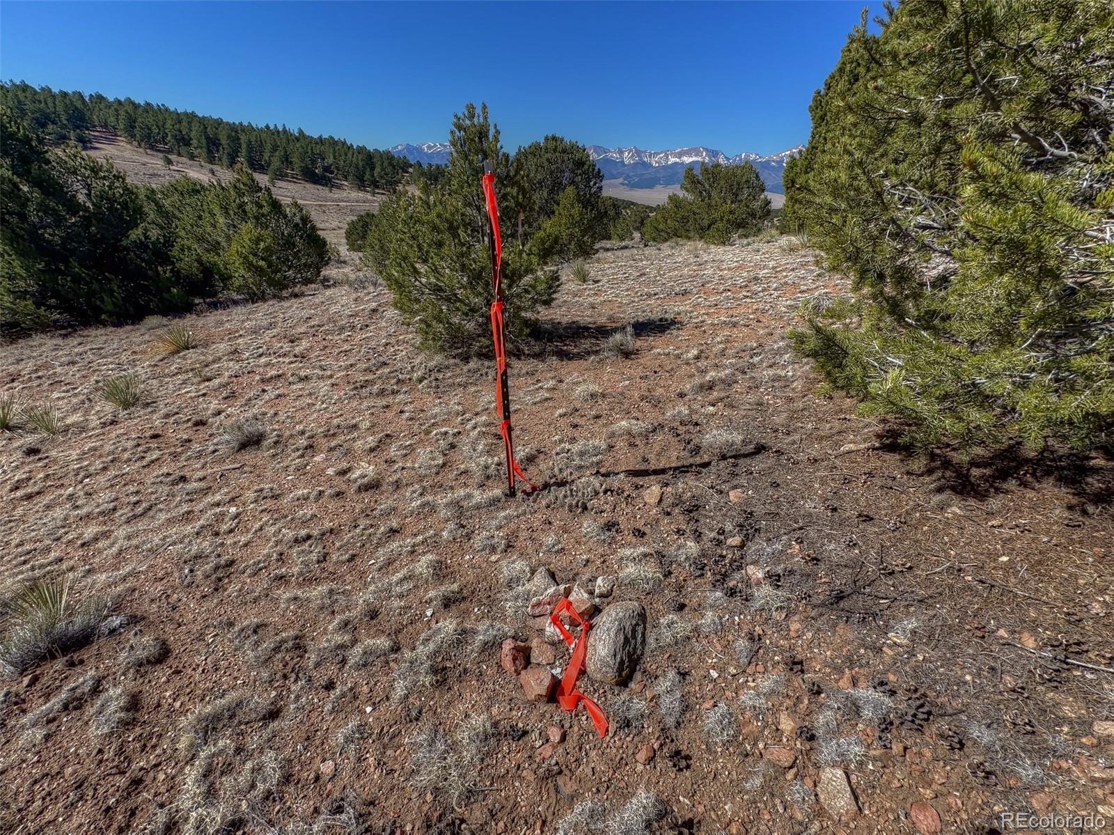 885 Crow Road Westcliffe, CO 81252 - Photo 5 of 24