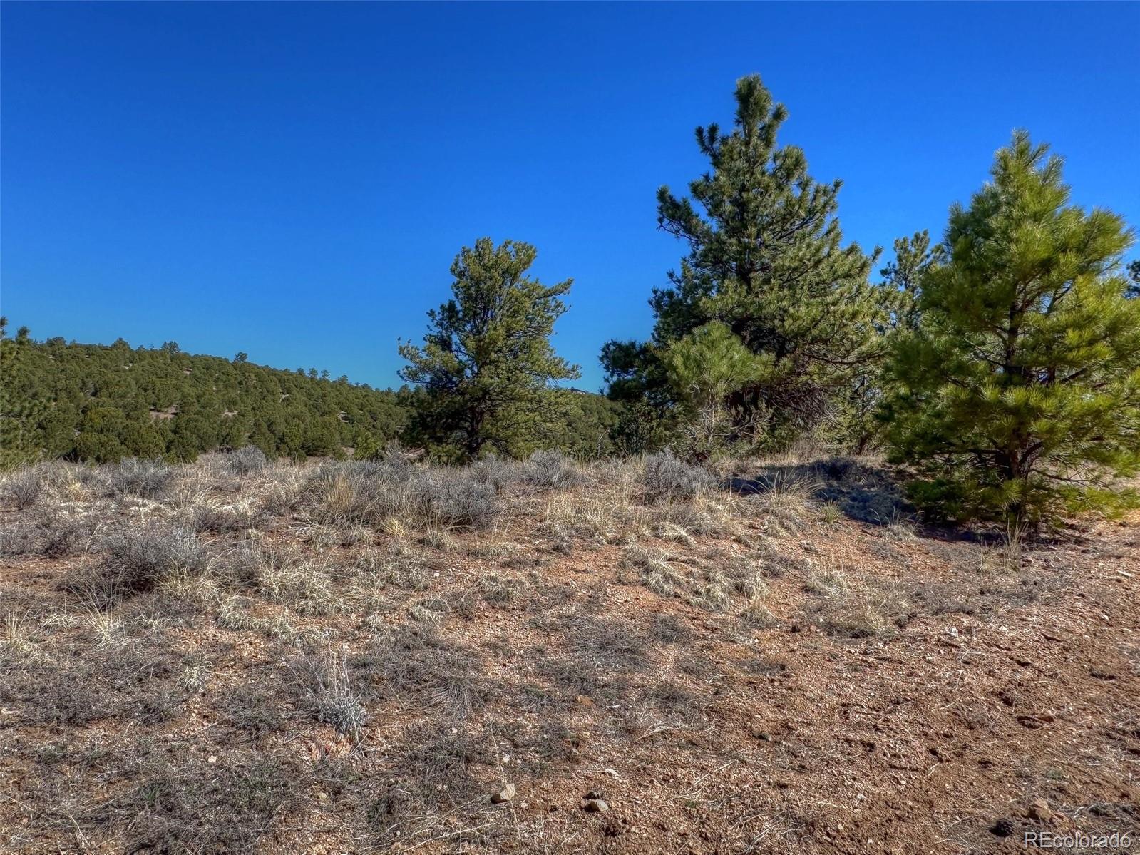 885 Crow Road Westcliffe, CO 81252 - Photo 10 of 24
