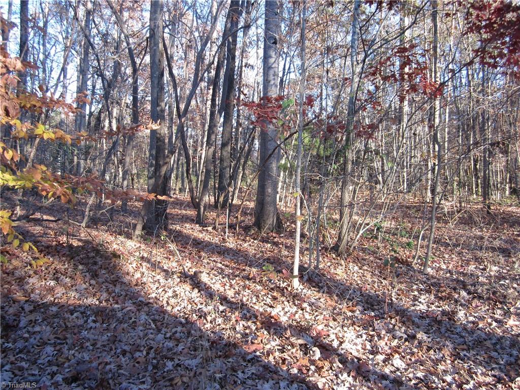 560 Joe Cecil Road Lexington, NC 27292 - Photo 3 of 4 Gallery Image 3