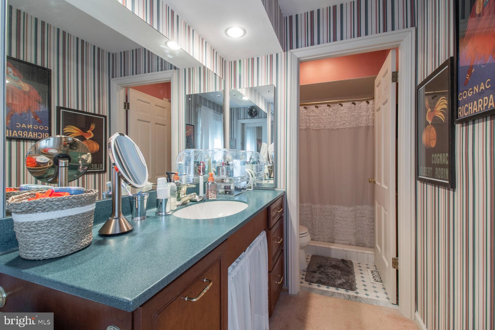 6602 Laurel Road New Hope, PA 18938 - Photo 32 of 49 Primary En Suite Bathroom