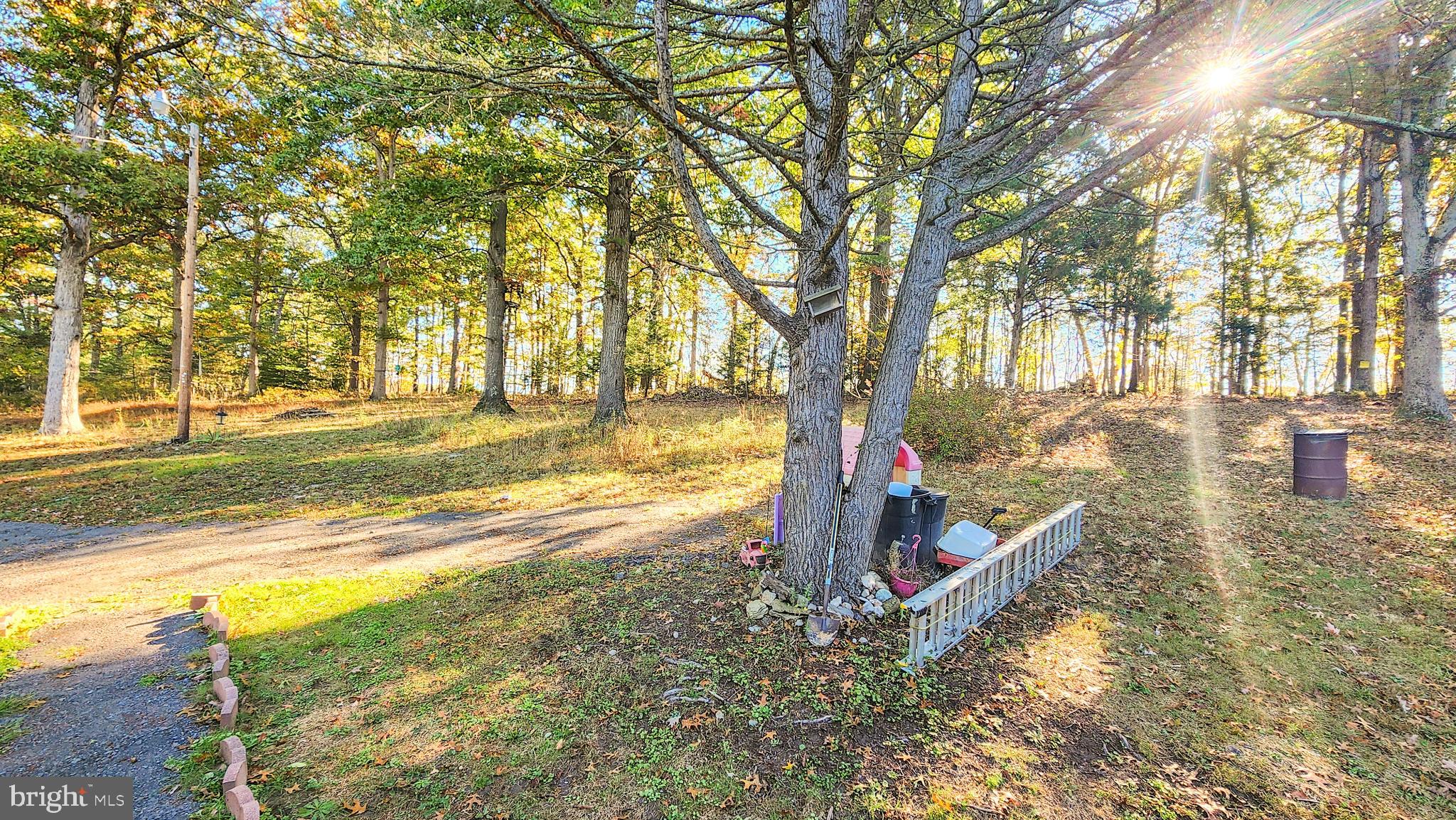13614 Oldtown Road Southeast Cumberland, MD 21502 - Photo 23 of 30 a view of a yard with trees