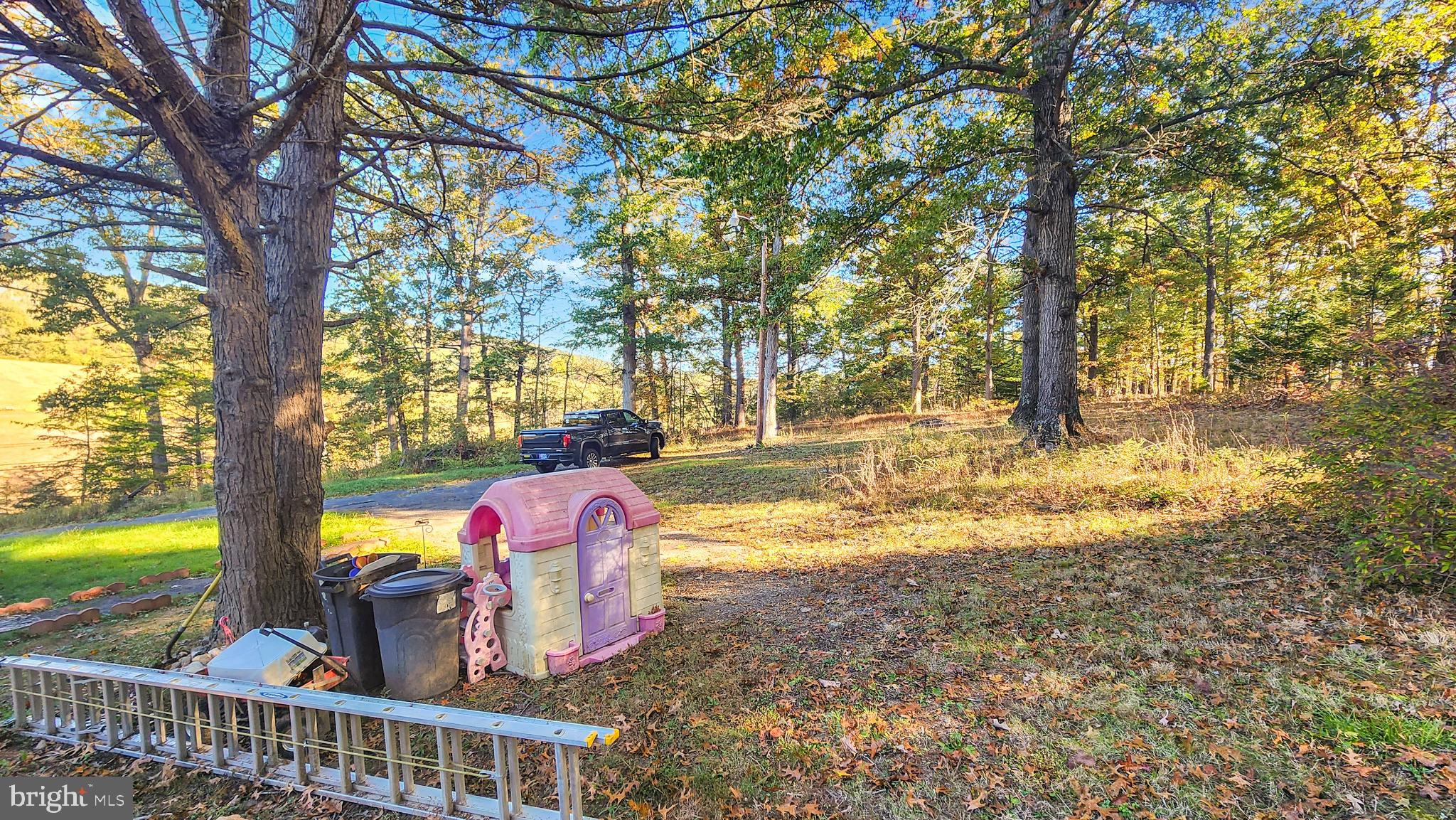 13614 Oldtown Road Southeast Cumberland, MD 21502 - Photo 25 of 30 a view of a yard with large tree and wooden fence