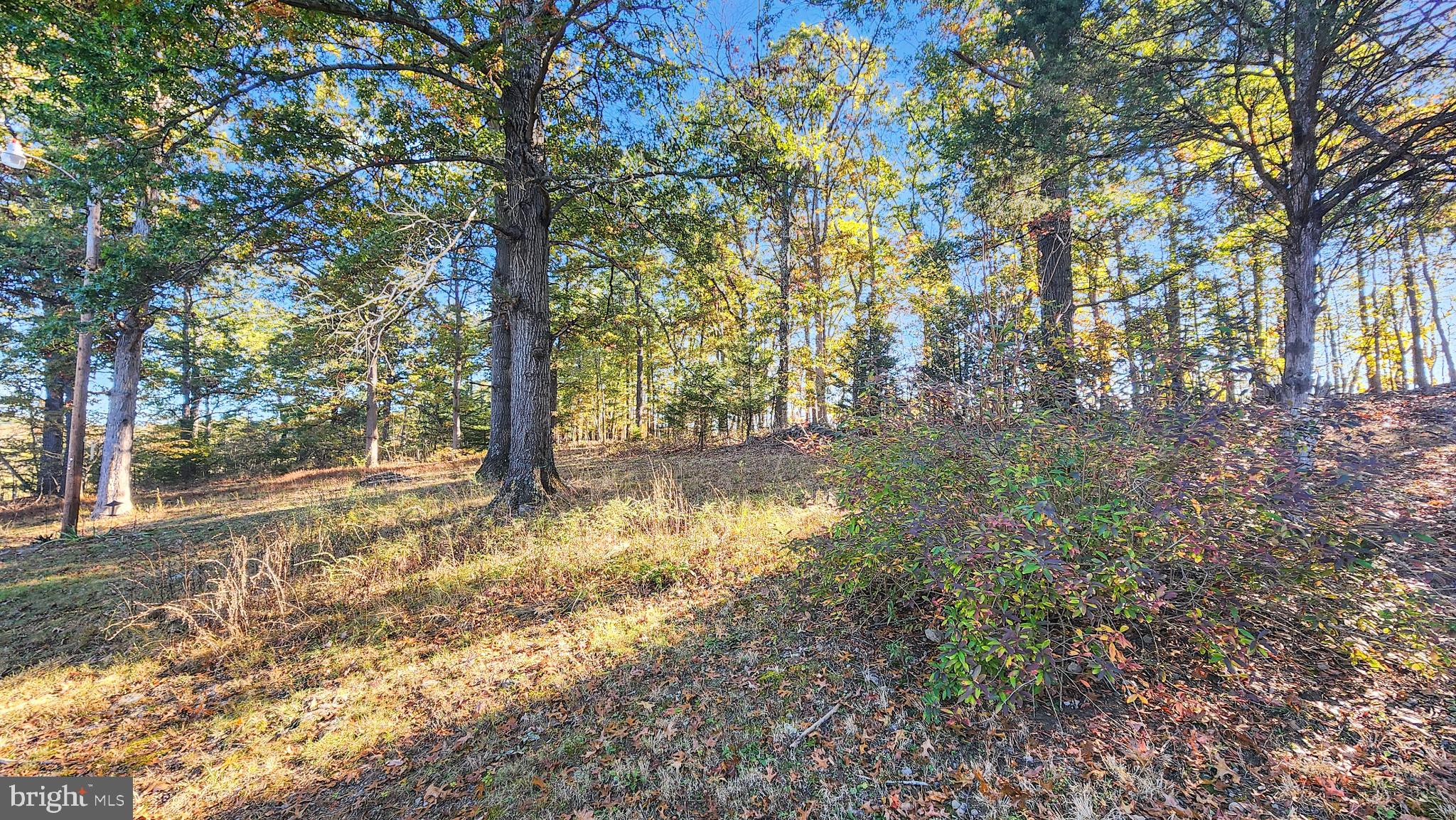 13614 Oldtown Road Southeast Cumberland, MD 21502 - Photo 26 of 30 a view of yard with trees
