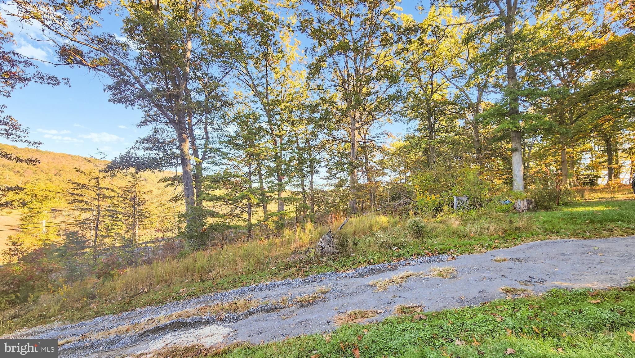 13614 Oldtown Road Southeast Cumberland, MD 21502 - Photo 30 of 30 a view of a yard with a tree